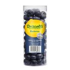 Driscoll's Zimbabwe Jumbo Blueberries (1 Pack) Approx. 200g