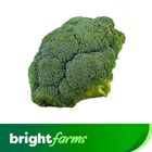 (Consume by Today)brightfarms Broccoli (Swat ) 500g