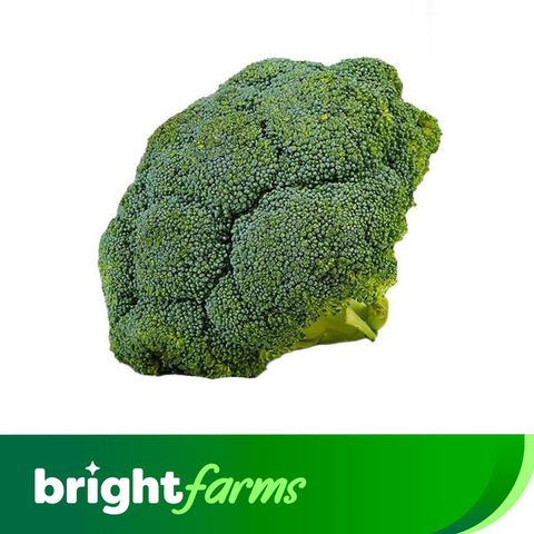 (Consume by Today)brightfarms Broccoli (Swat ) 500g