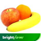 (Consume by Today)Brightfarms Fresh Mix Fruit Tray Pakistan 500g