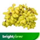 (Consume by Today)brightfarms Grapes Sunder Khani (Afghanistan) 500g
