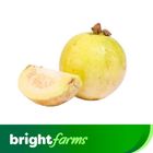 (Consume by Today)brightfarms Guava -Amrood (Pakistan) 1kg