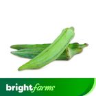 (Consume by Today)brightfarms Ladyfinger -Bhindi (Sindh) 500g