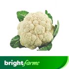 (Consume by Today)brightfarms Cauliflower Phool Gobi Piece (500-700g)