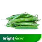 (Consume by Today)brightfarms Peas -Matar (Pakistan) 500g