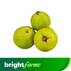 (Consume by Today)brightfarms Guava Green (Pakistan) 500g