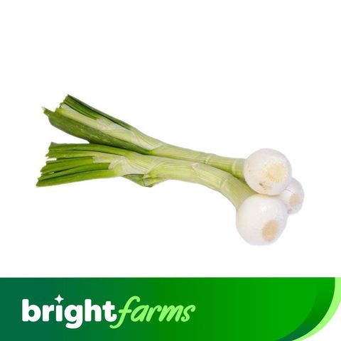 (Consume by Today)brightfarms Spring Onion -Hari Piyaz (Pakistan) 250g