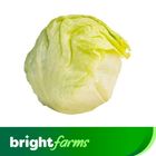 (Consume by Today)brightfarms Iceberg Lettuce (Pakistan) 250g