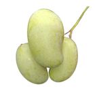 Amrapali Aam (Bagging Mango) 1kg  ±50g