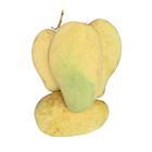 Ashwini Aam (Bagging Mango) 2kg  ±100g
