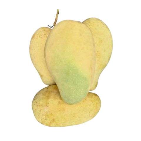 Ashwini Aam (Bagging Mango) 2kg ±100g