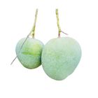 Greenfood Bari-4 Premium Sweet Mango 3kg