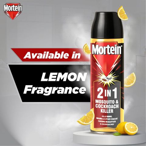 Mortein 2 In 1 Mosquito And Cockroach Killer Spray 400ml