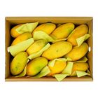 Fresh Basket Sindhri Mango Box 5kg