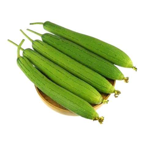 Sponse Gourd Dundul (Kolatia) 500g ± 20g