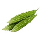 Bitter Gourd Big Korola (Kolatia) 500g ± 20g