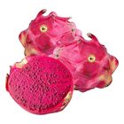 Buah Pitaya Merah Jumbo 1 Piece (3333)