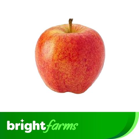 brightfarms Gala Apple Two Pieces 240g ± 15g
