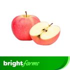 brightfarms Fuji Apple Two Pieces 280g ± 15g