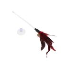 Spring Feather Toy 1 Piece