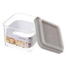 Miniso Simple Kitchen Series Storage Box with Lid Square Gray (Size 250ml) 1 Piece