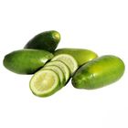 Lime Elachi 1 Piece