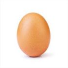 Egg Khulshi Mart Broiler Box 12 Pieces