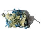 Zerritta Flowers Ocean Breeze Bouquet 1 Unit