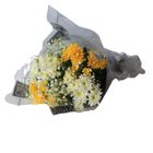 Zerritta Flowers Radiant Sunshine Bouquet 1 Unit