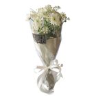 Zerritta Flowers One White chrysanthemums with Baby's Breath 1 Unit