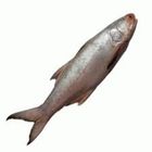 Lakkha Sea 0.25kg
