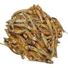 Dry Fish Mola Chocolate KM