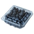 Blueberry Box 125g
