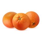 Grapefruit 3 Pieces