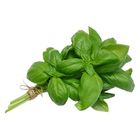 Italian Basil (Imported) 75g