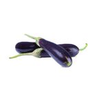 Long Brinjal (Lambi Baingan) 500g