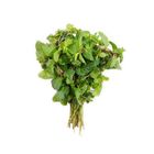 Mint Leaves (Podina) 1 Bunch