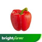 Red Bell Pepper 200g