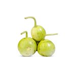 Round Bottle Gourd / Gol Lauki Pakistan 1kg