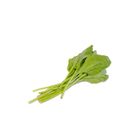 Spinach (Palak) 500g