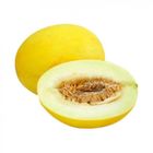 Time Dew Melon 1 Piece