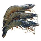 Big Prawn 500g