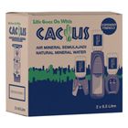 Cactus Natural Mineral Water 2 x 9.5L