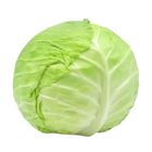 Star Market Cabbage 500g