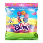 Candyland Funny Bunny Bag 1 Unit