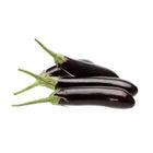 Brinjal (Lomba Begun) 0.5kg