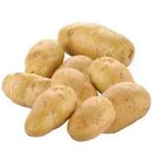 Alu Regular (Potato New)