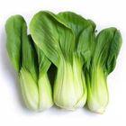 Pakchoi Shak (Pakchoi Leaves) 0.25kg