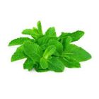 Pudina Pata (Mint Leaves) 0.2kg