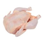 Whole Chicken - 309441